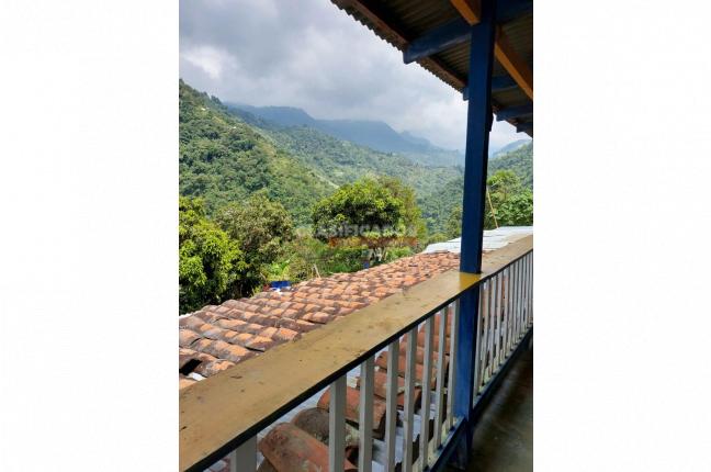 Fincas y Casas Campestres, Venta, Felidia