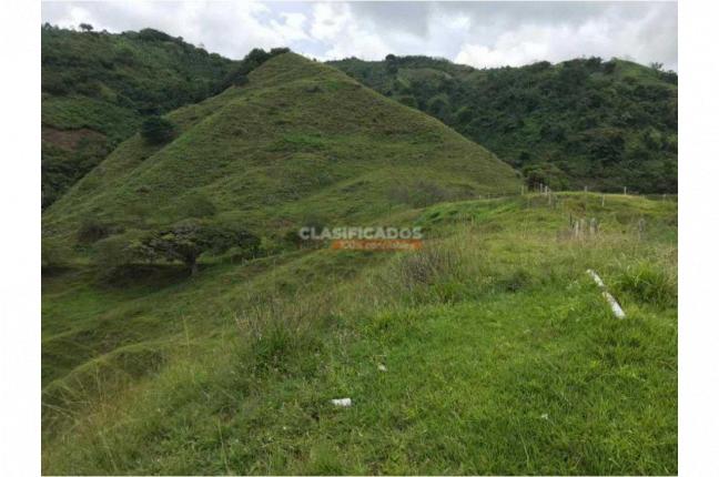 Fincas y Casas Campestres, Venta, Felidia