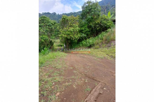 Fincas y Casas Campestres, Venta, Felidia