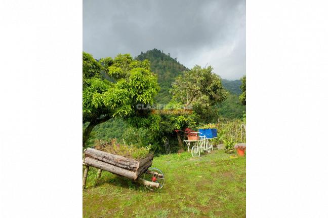 Fincas y Casas Campestres, Venta, Felidia