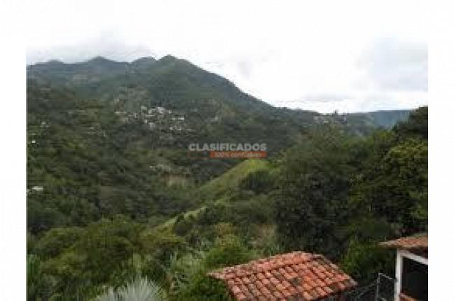 Fincas y Casas Campestres, Venta, Felidia