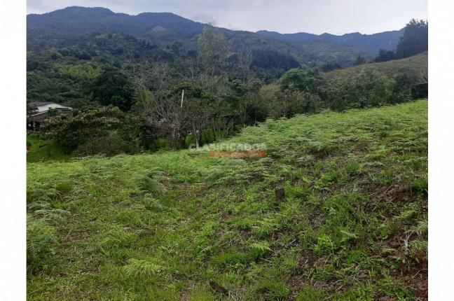 Fincas y Casas Campestres, Venta, Felidia