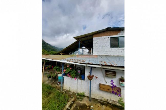 Fincas y Casas Campestres, Venta, Felidia