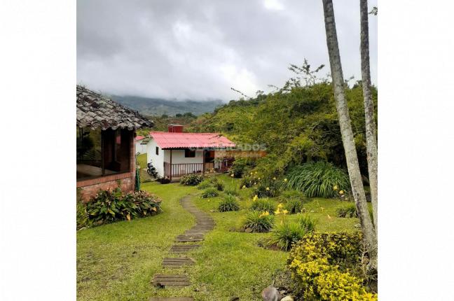 Fincas y Casas Campestres, Venta, Dagua - $550.000.000