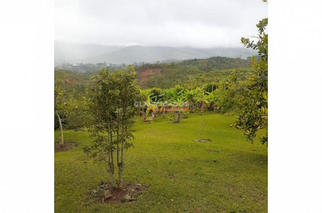 Fincas y Casas Campestres, Venta, Dagua - $550.000.000