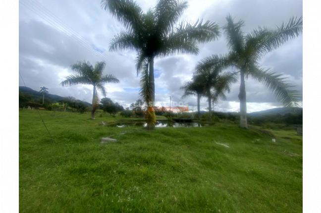 Lotes, Venta, Calima (Darién) - $472.640.000