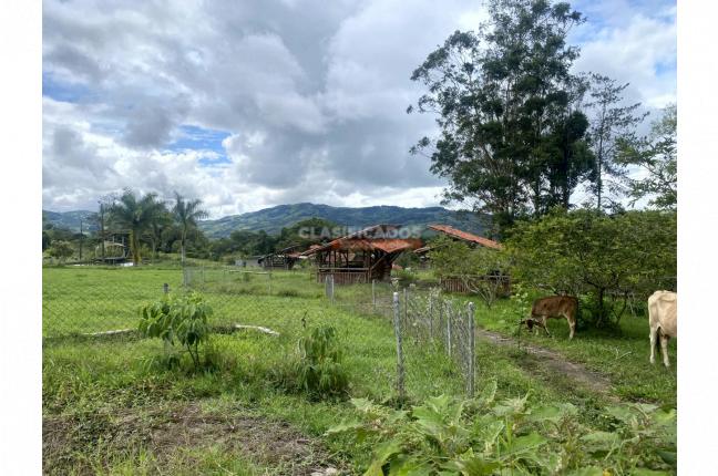 Lotes, Venta, Calima (Darién) - $472.640.000