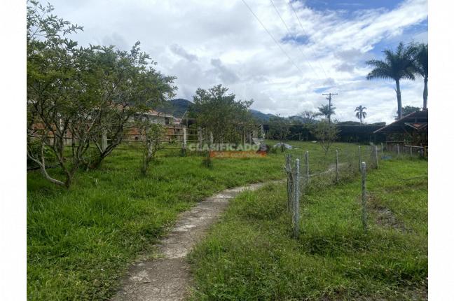 Lotes, Venta, Calima (Darién) - $520.800.000