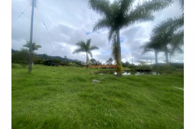 Lotes, Venta, Calima (Darién) - $520.800.000