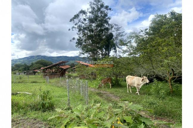 Lotes, Venta, Calima (Darién) - $520.800.000