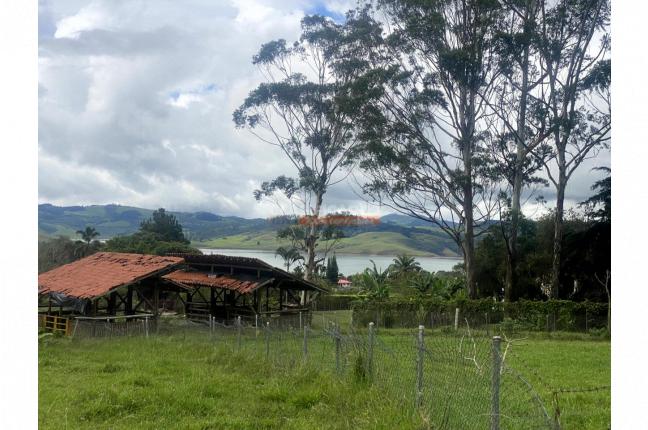 Lotes, Venta, Calima (Darién) - $520.800.000