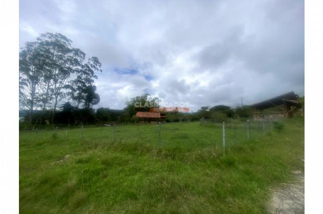 Lotes, Venta, Calima (Darién) - $456.800.000