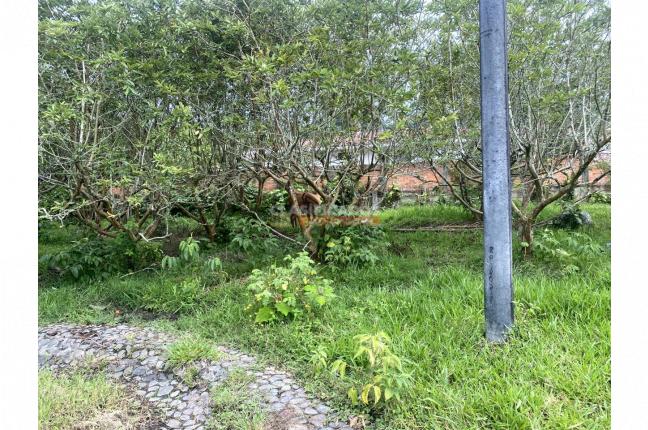 Lotes, Venta, Calima (Darién) - $374.080.000