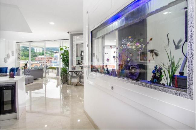 Apartamentos, Venta, Bellavista - $2.200.000.000