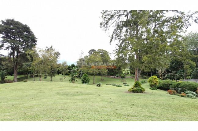 Lotes, Venta, Dagua - $992.000.000