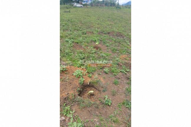 Lotes, Venta, Dagua - $350.000.000