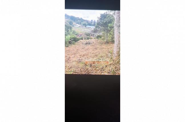 Lotes, Venta, Dagua - $200.000.000