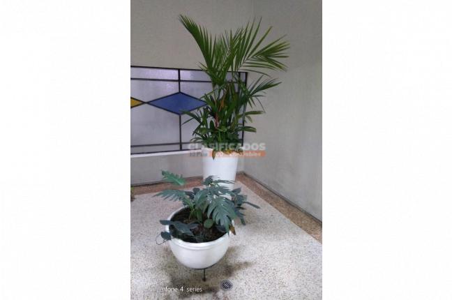 Apartamentos, Venta, San Fernando - $390.000.000