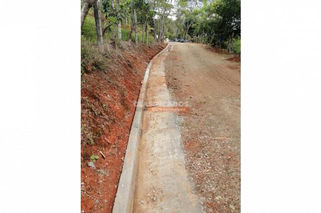 Lotes, Venta en Palmira