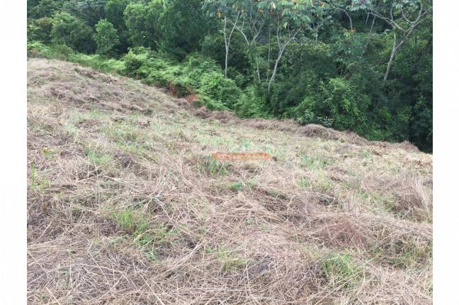 Lotes, Venta, Haciendas de Potrerito - $220.000.000