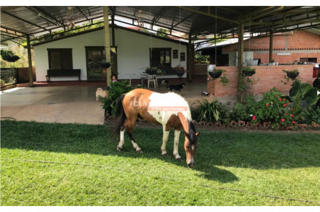 Lotes, Venta, Dagua - $3.080.000.000