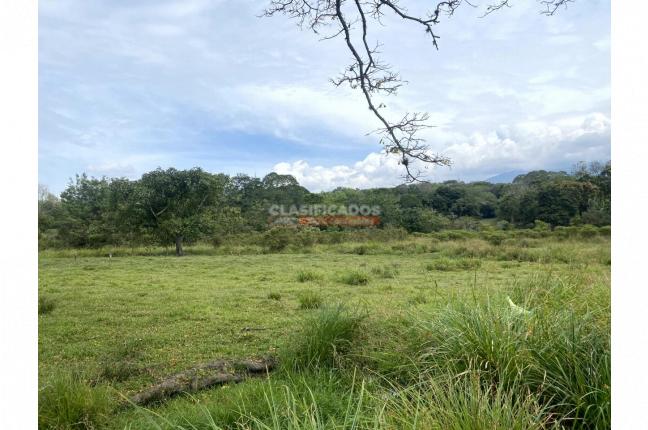 Fincas y Casas Campestres, Venta, Jamundí