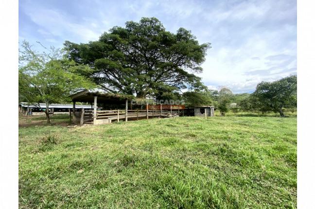 Fincas y Casas Campestres, Venta, Jamundí