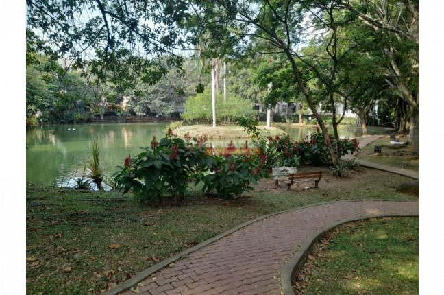 Apartamentos, Venta, Pance - $900.000.000