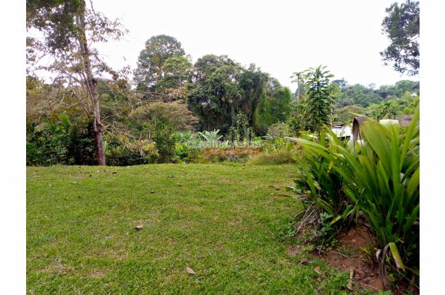 Fincas y Casas Campestres, Venta, Dagua - $1.700.000.000