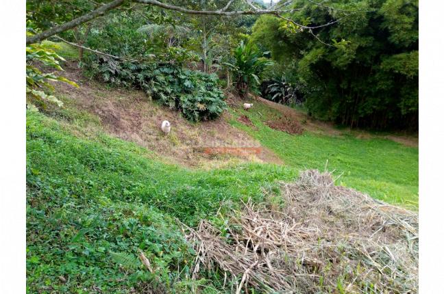 Fincas y Casas Campestres, Venta, Dagua - $1.700.000.000