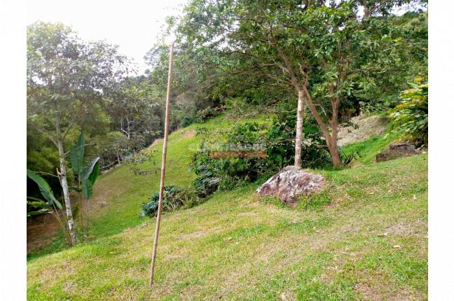 Fincas y Casas Campestres, Venta, Dagua - $1.700.000.000