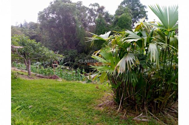 Fincas y Casas Campestres, Venta, Dagua - $1.700.000.000