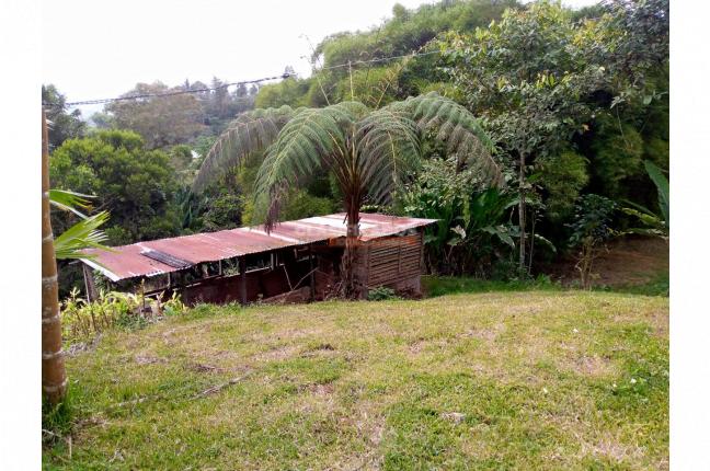 Fincas y Casas Campestres, Venta, Dagua - $1.700.000.000