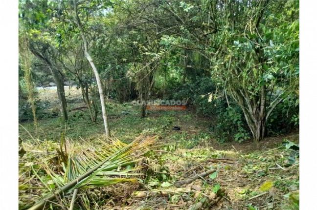 Lotes, Venta, Pance - $1.924.000.000