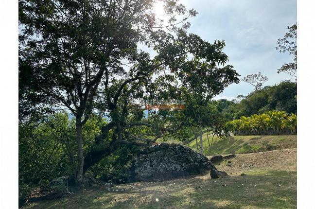 Lotes, Venta, Pance - $950.000.000