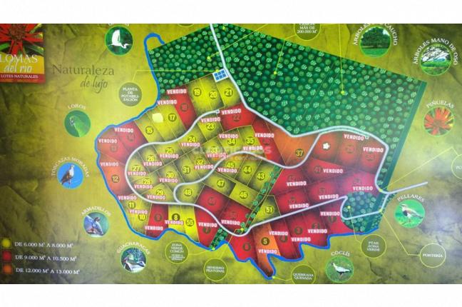 Lotes, Venta, Pance - $950.000.000