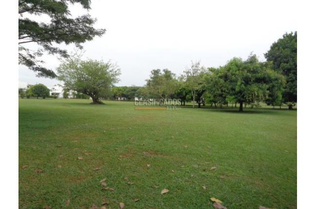 Lotes, Venta en La Morada