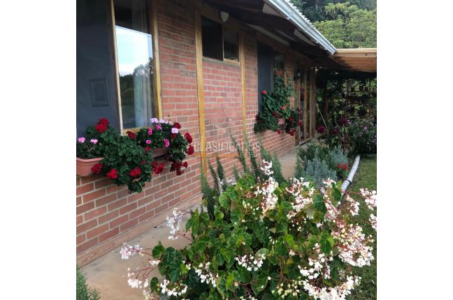 Fincas y Casas Campestres, Venta, Dapa - $1.100.000.000