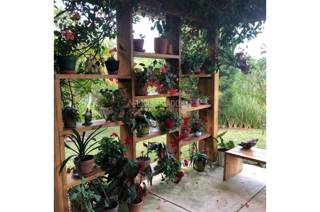 Fincas y Casas Campestres, Venta, Dapa - $1.100.000.000