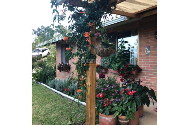 Fincas y Casas Campestres, Venta, Dapa - $1.100.000.000