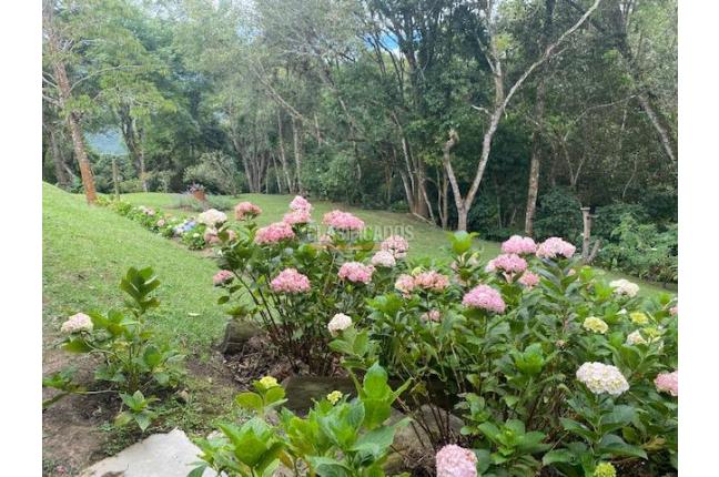 Fincas y Casas Campestres, Venta, El Saladito - $800.000.000