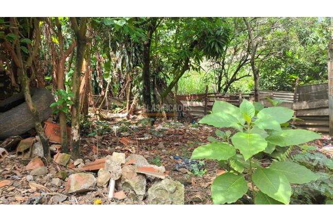 Lotes, Venta, Aguacatal - $250.000.000
