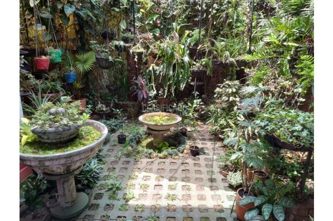 Casas, Venta, La Merced - $600.000.000