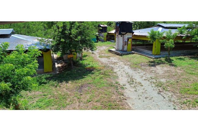 Lotes, Venta, Yotoco - $800.000.000