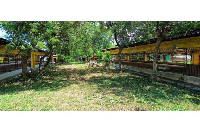 Lotes, Venta, Yotoco - $800.000.000