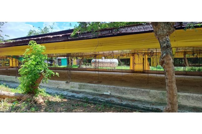 Lotes, Venta, Yotoco - $800.000.000