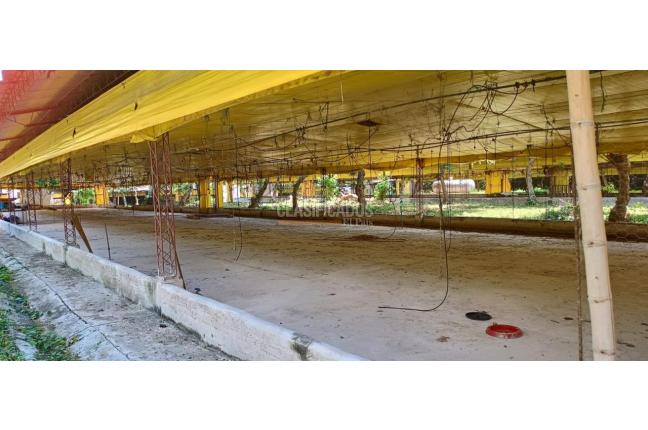 Lotes, Venta, Yotoco - $800.000.000