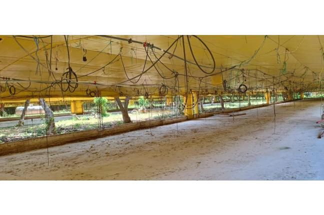 Lotes, Venta, Yotoco - $800.000.000