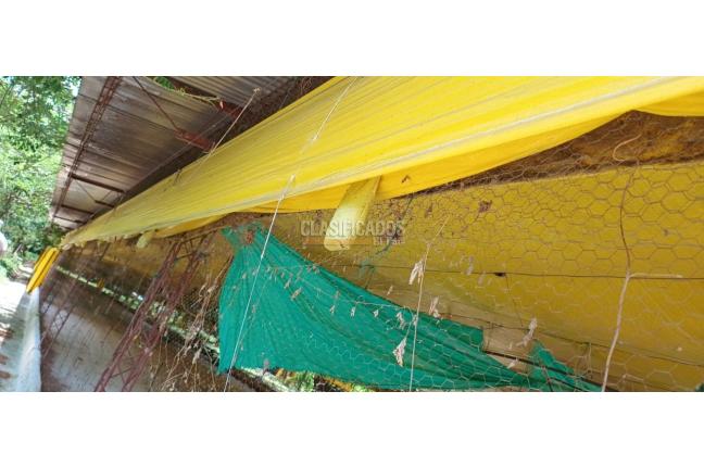 Lotes, Venta, Yotoco - $800.000.000