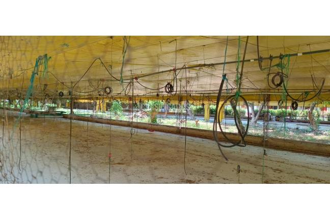 Lotes, Venta, Yotoco - $800.000.000